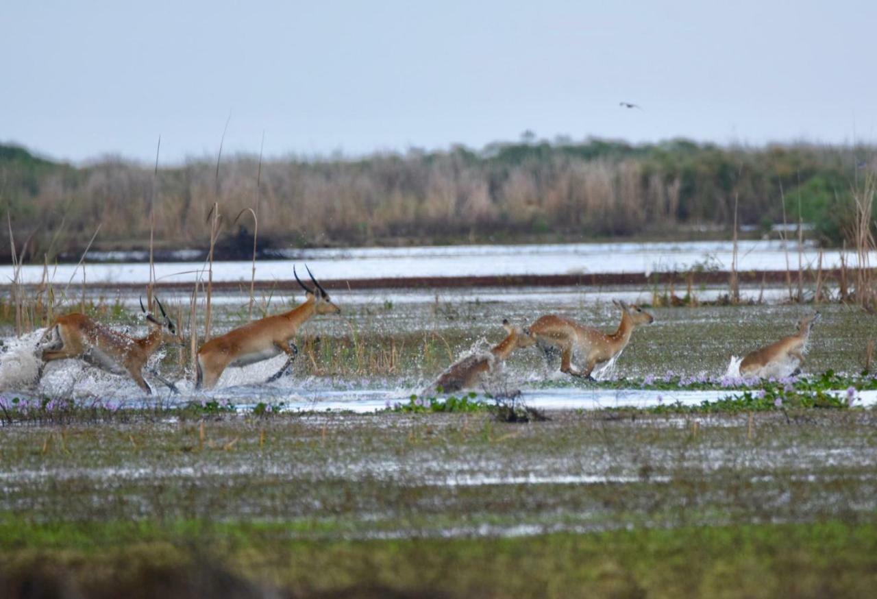 Lochinvar Safari Lodge Of Lochinvar National Park - Zambia Экстерьер фото